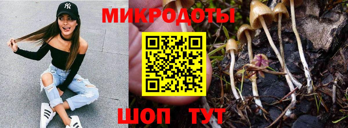 Кировск  Галлюциногенные грибы Magic Shrooms  Вход с VPN  Псилоцибиновые грибы GOLDEN TEACHER 