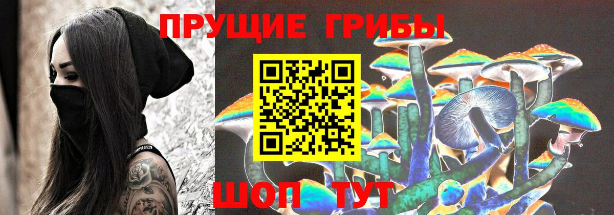 Галлюциногенные грибы Psilocybine cubensis Кировск